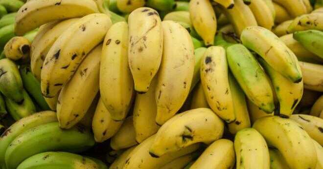 Bananer håller längre i en plastpåse?