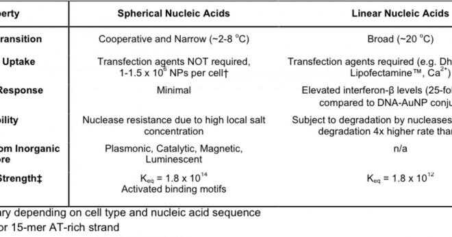 Vad är två exempel på nucleic syror?