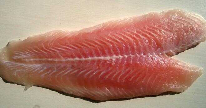 Hur du tarmen en fisk?