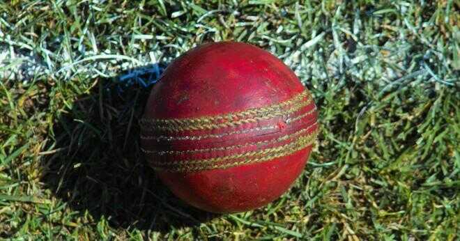 Vad DOT ball menar i cricket?