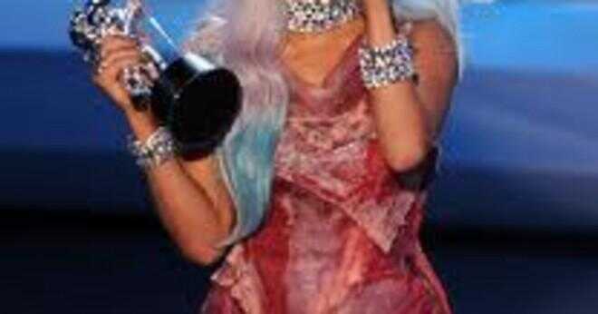 Var kött klänningen Lady Gaga bar på 2010 Video Music Awards gjord av verklig kött?
