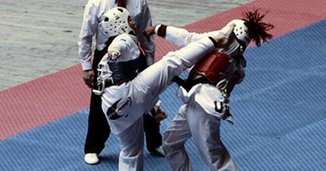 Vilka är de tre typerna av fokus används i Taekwondo och vad är syftet för var och en?