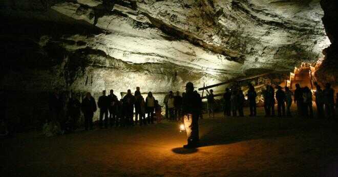 Hur många hektar i Mammoth Cave?