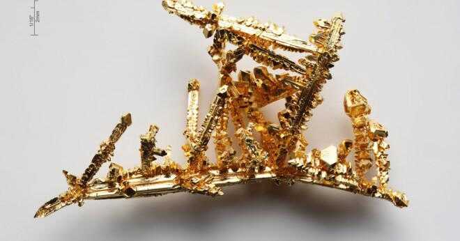 Hur mycket guld innehåller jordarter oceanerna?