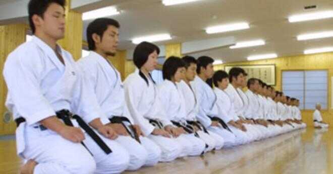 Vad är skillnaden mellan jujitsu och karate?