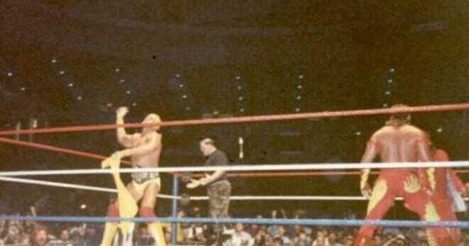 Är Hulk Hogan och Ultimate Warrior bröder?