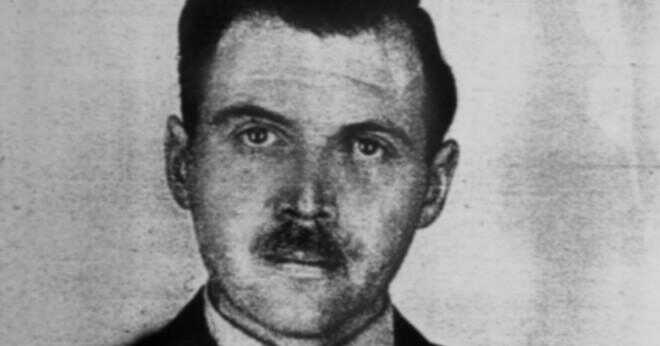 Är slaktaren Birkenau baserat på sanningen?