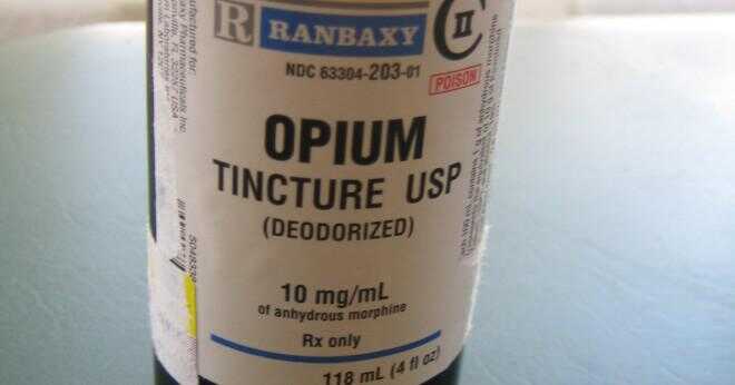 Tillverkas hash av opiumvallmo?