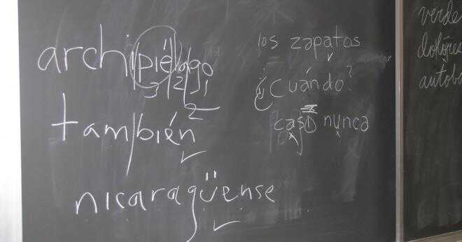Vad betyder det spanska ordet tenia?