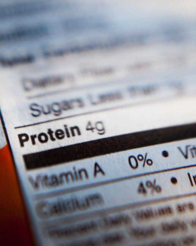 Allt du bör veta om Protein