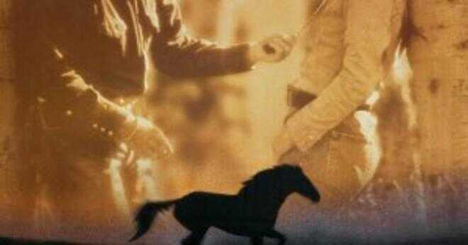 Vad var namnet på hästen Robert Redford Red i Horse Whisperer?