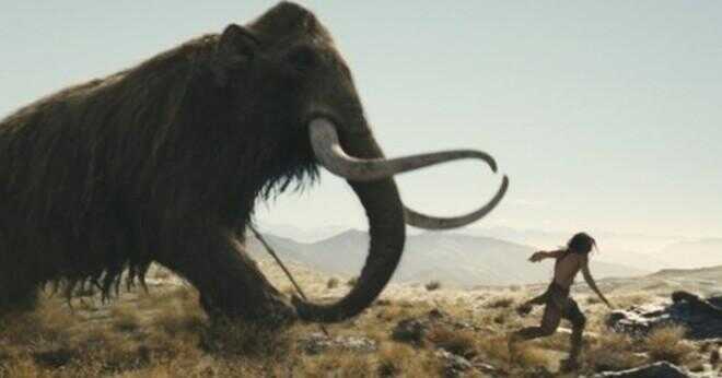 Vad är vikten av axeln av mammut?