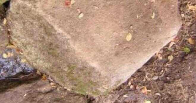 Hur användes hand yxan i stenåldern?