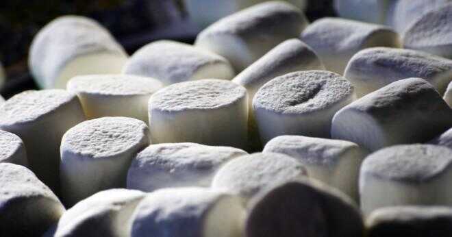 Hur använda marshmallow i en mening?