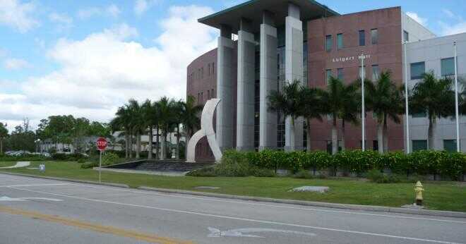 Vad är GPA minimikravet att komma in i University of Florida "?