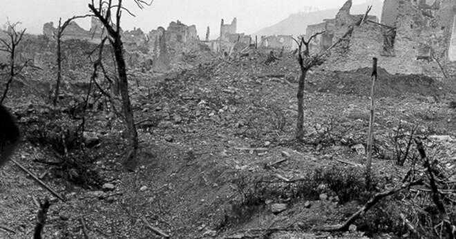 Vilka var de kortsiktiga effekterna av slaget om Monte Cassino?