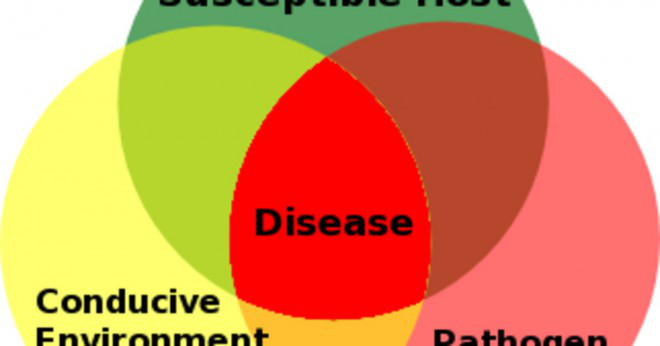 Vad är de viktigaste delarna i epidemiologi?
