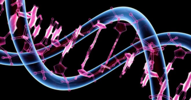 Processen med att ersätta en defekt gen med en frisk gen kallas?