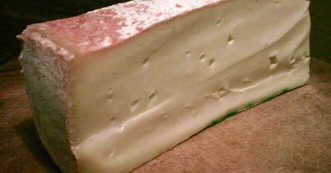 Kan du gouda ost istället för fontina ost?
