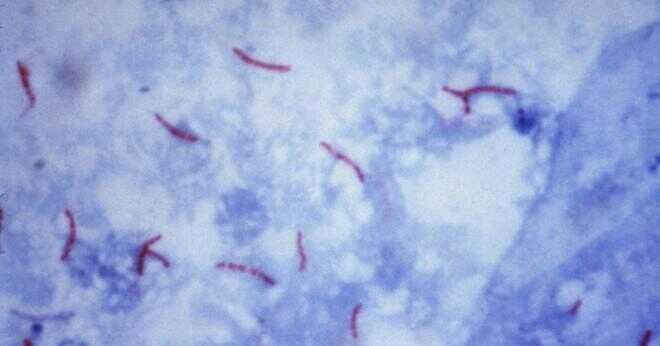 Hur överförs tuberkulos från person till person?
