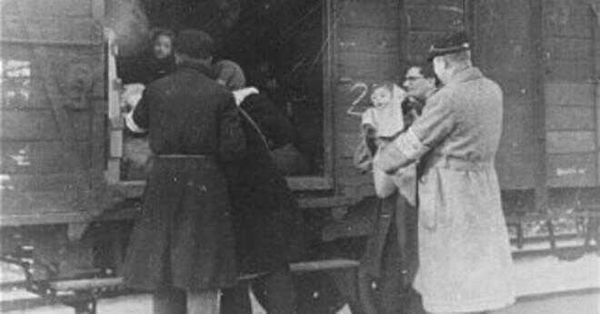 Vad är namnet på det största koncentrationslägret som Spanien och Tyskland deporterade tusentals basker att dö?