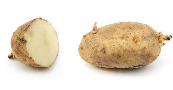 Hur många pounds av potatis produceras årligen i USA?