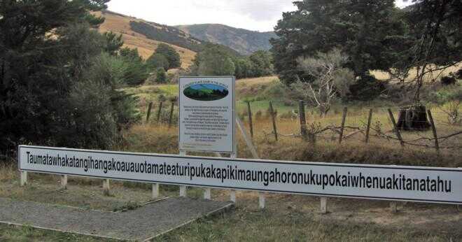 Hur du uttrycka nummer från 1 till 31 i maori språk?
