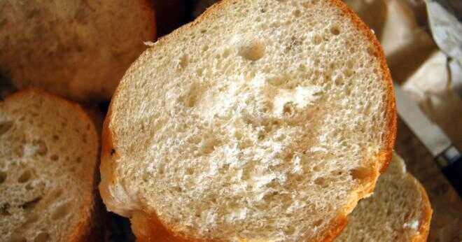 Vilken typ av mögel växer på vitt bröd?