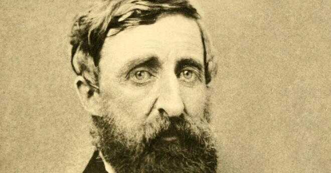 Vad var Thoreaus skäl för att flytta till skogen?