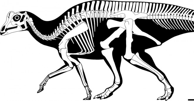 Vilka var corythosaurus' fiender?