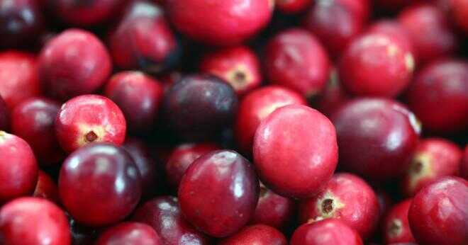 Vad heter blåbär i bengali?