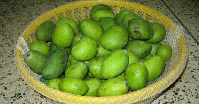 Hur många typer av mango finns i Indien?