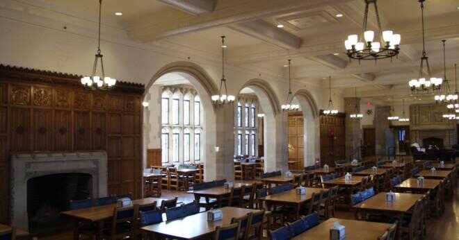 Vilka är kraven för Yale law school?