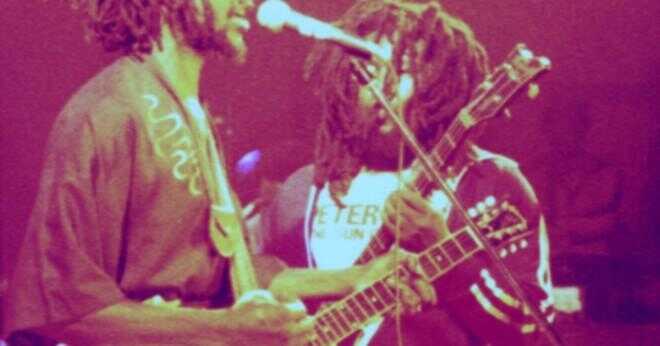 Vilken typ av akustisk gitarr spelade Bob Marley?