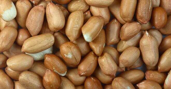 Är nötter proteiner?
