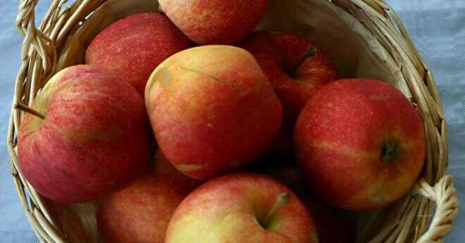 Kan du laga mat med gala äpplen?