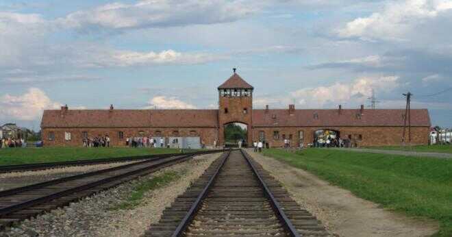 Vad hände med judarna när de kom till Auschwitz?