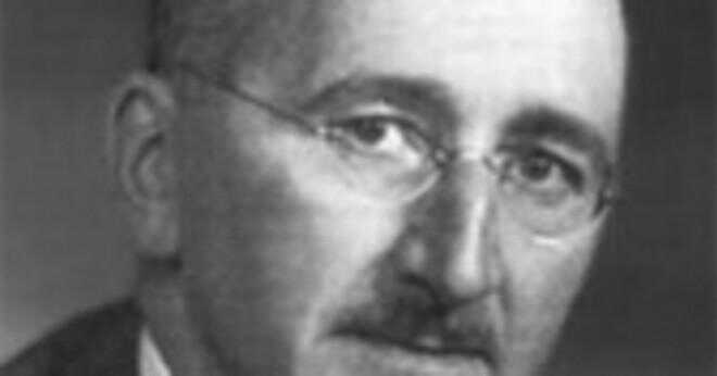 Vad var det yrket och ekonomisk status av Hitlers far?