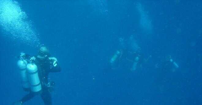 Hur dykare stiga till ytan efter de dyka?