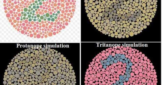 Vilka färger ser du när du är färgblind?