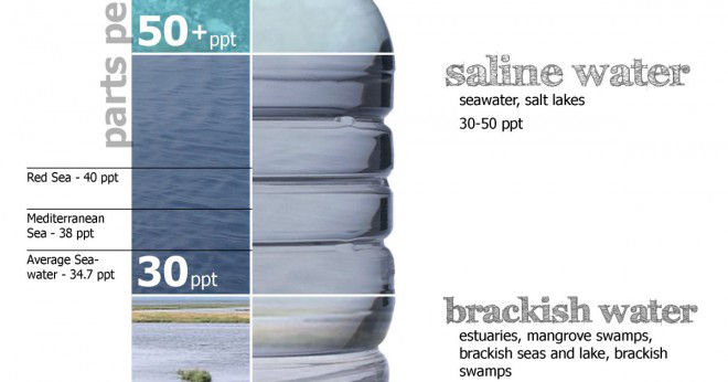 Är havssalt mer eller mindre salt än vanligt salt?