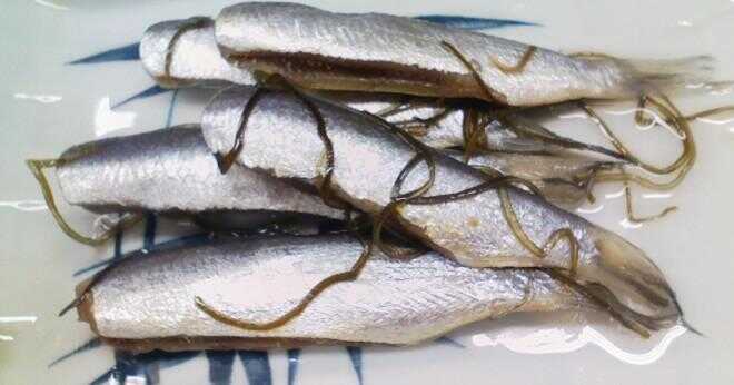 Har sardiner fenor och fjäll?