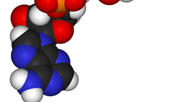 Varför enzym är bättre än syntetiska katalysatorer?