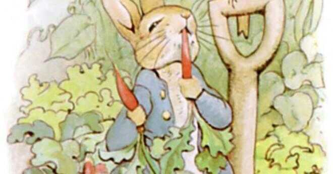 Som författade berättelser om peter rabbit?