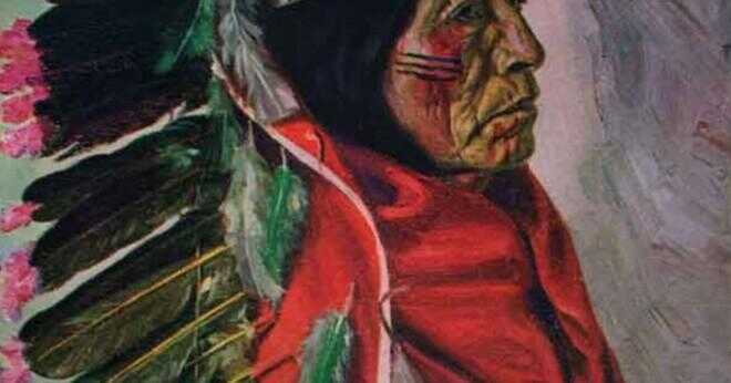 Vilket skick bor Cheyenne indianerna i?