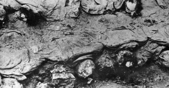 Hur många judisk-amerikanska soldater dödades eller sårad i strid i World War 2?