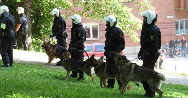 Vilken hundras är oftast används av polisen?