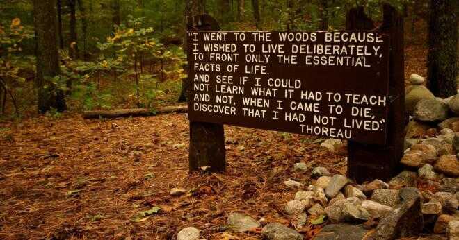 Vad beskriver Thoreaus Walden?
