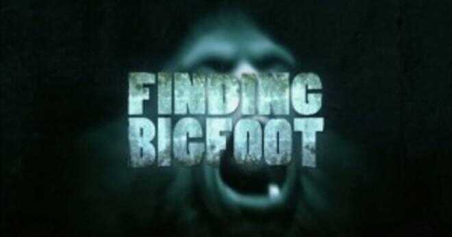Var är bästa stället att se Bigfoot?