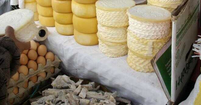 Hur växer amerikanska ost mögel?